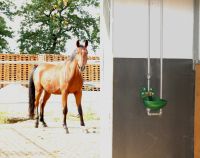 Napáječka misková Suevia Model 12 P