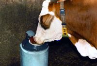 Vyhřívaná napáječka Suevia Model 41A a Model 41A SIBERIA