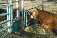 Vyhřívaná napáječka Suevia Model 41A a Model 41A SIBERIA