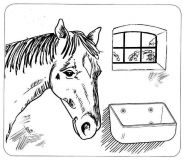 Žlab 14 l pro koně