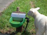 Hladinová nízkotlaká napáječka Suevia Model 130 PN