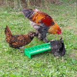 Krmítko plastové pro drůbež