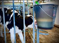 Napájecí kbelík Milk Bar™ EURO 9l s měrkou