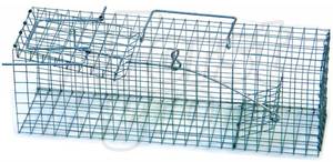 Past na potkany a krysy střední