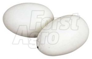 Podkladek pro slepice sádrový