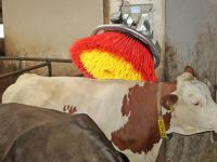 Elektrické drbadlo EASYCLEANER