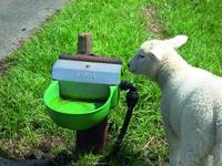 Hladinová napáječka Suevia Model 130 P