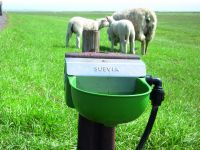 Hladinová napáječka Suevia Model 130 P