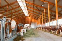 Halové LED světlo s tlumením