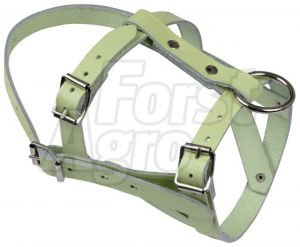 Ohlávka pro ovce a berany