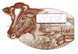 Etiketa s krávou na sýr 100ks