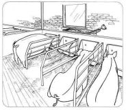 Koryto 25 l pro prasnice