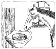 Žlab rohový 16 l pro koně