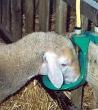 Napáječka misková Suevia Model 370