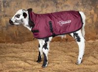 Vesta Thermoo vel. S